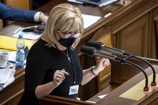 Schillerová: Mluvili jsme do zdi - Novinky